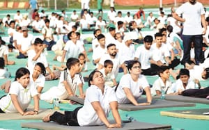 Sangamanyan on yoga path, Analogom-opposite