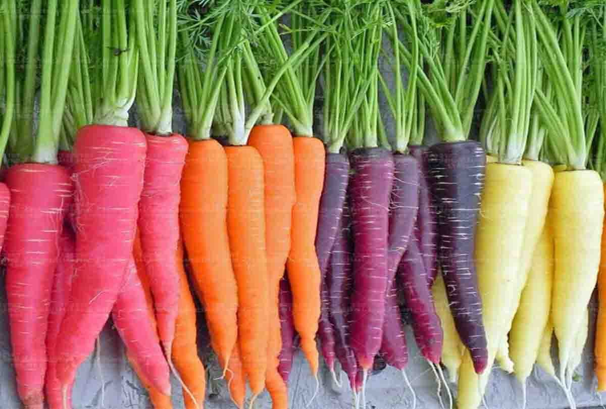 synthetic colour harms your Health and body 