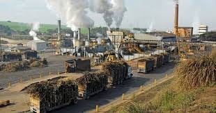 Notice to eight sugar mills on non-payment of sugarcane