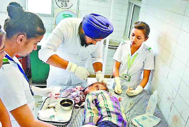 dog bite in mohali, seven years old child critical