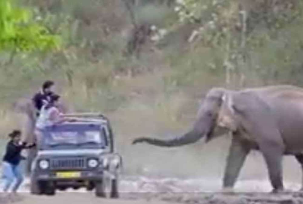 Elephant Attack on tourist jeep in corbett national park video viral