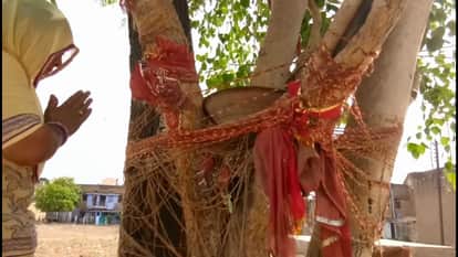 know significance of hariyali amavasya date and puja vidhi