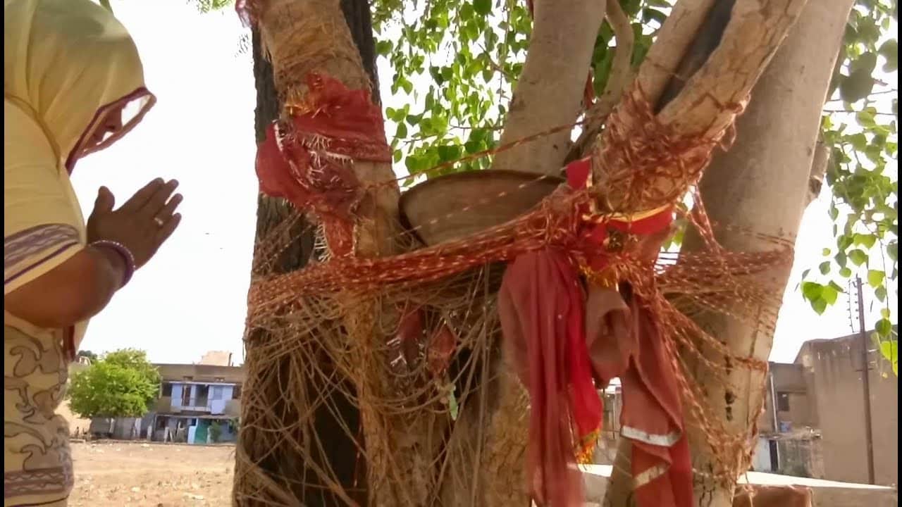 Shani dev margi chal Solution according to zodiac sign for Good Luck