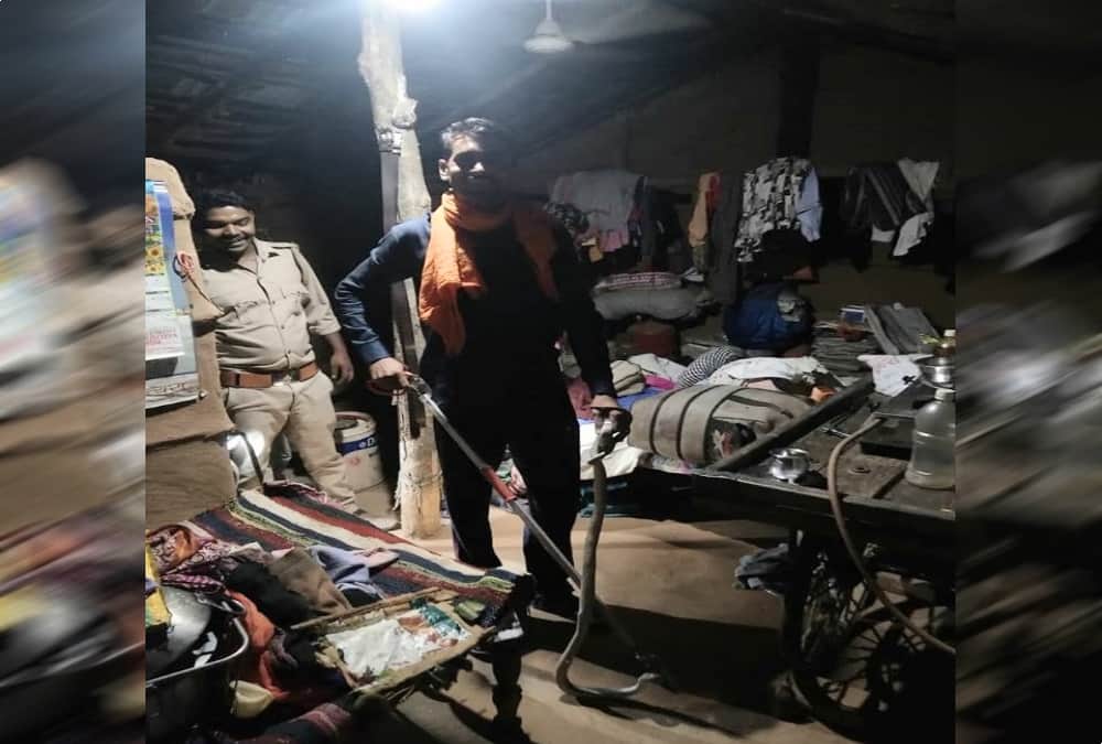 Snake found in house at midnight family in fear