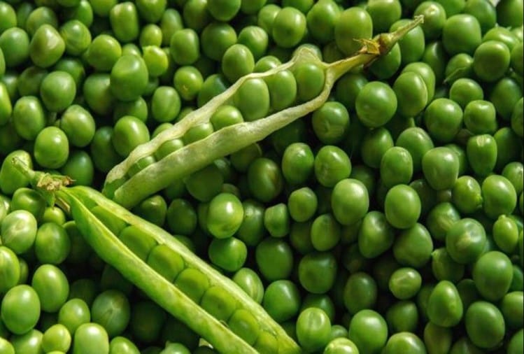 प्रतीकात्मक तस्वीर