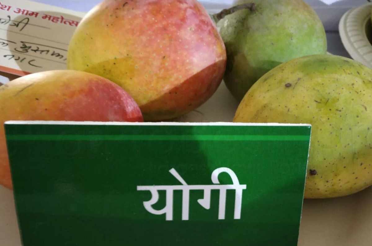 cm yogi inaugurated mango festival in lucknow