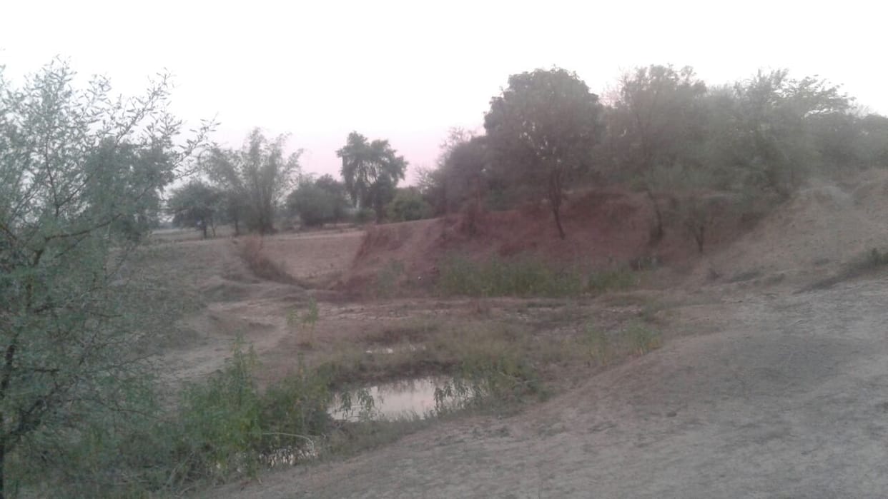 भिगीय लापरवाही के कारण नहीं भर पा रहे बंधी और तालाब