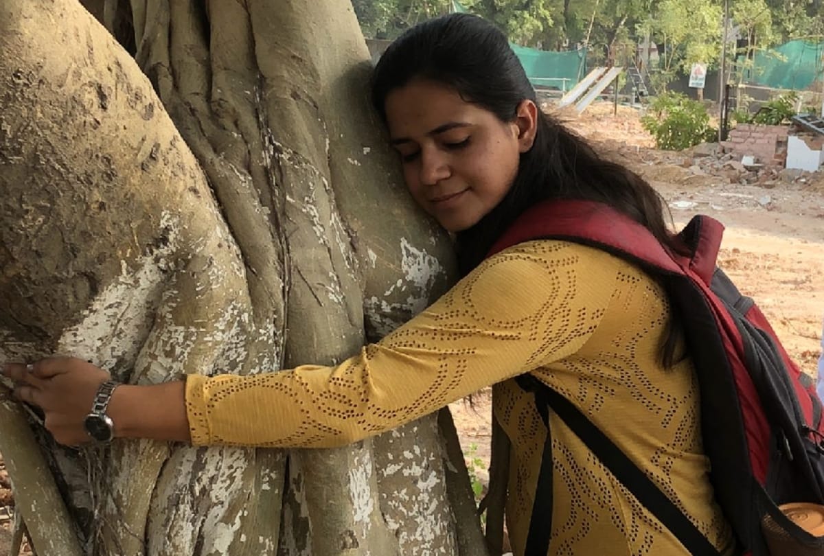 about 16500 trees harvesting case filed contempt petition on tree cutting in delhi