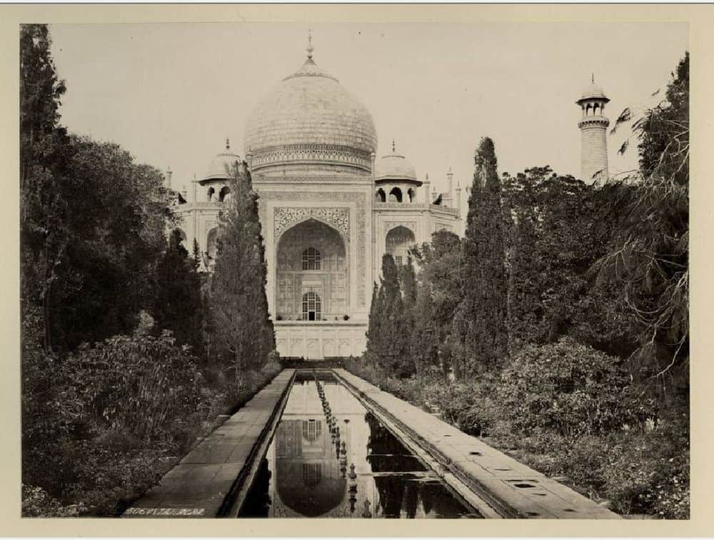 several years ago the taj mahal was covered with trees 