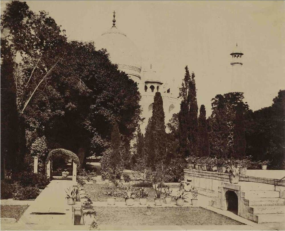 several years ago the taj mahal was covered with trees 