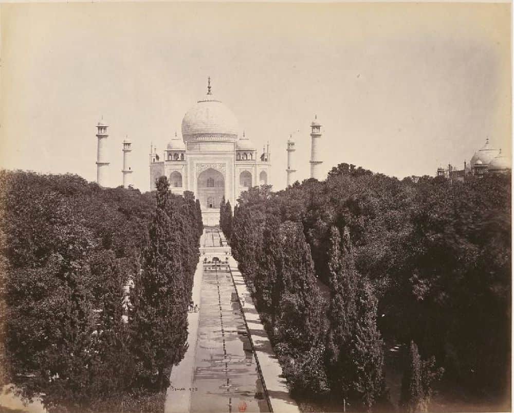 several years ago the taj mahal was covered with trees 