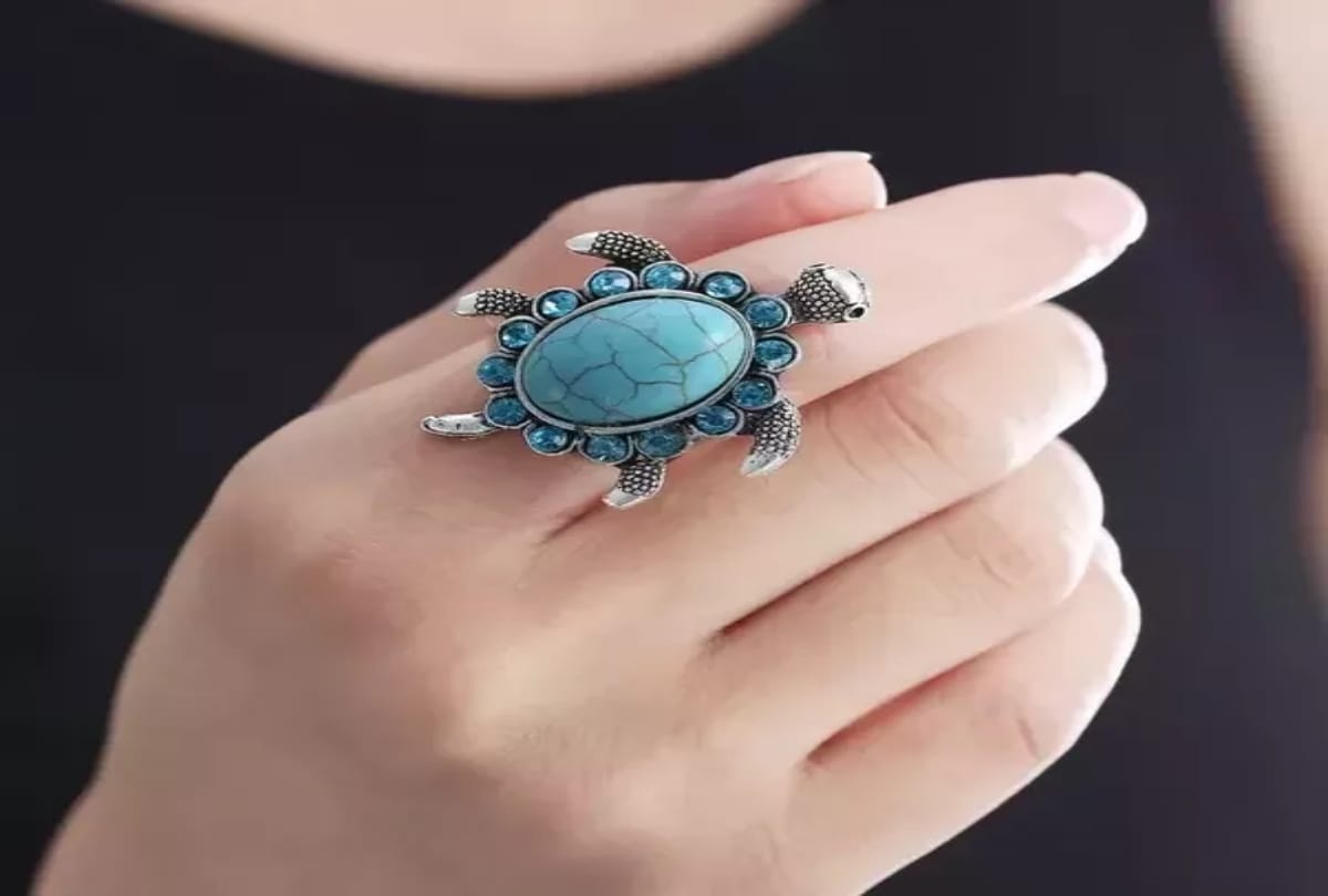 feng shui vastu tips turtle position for house and shop prosperity