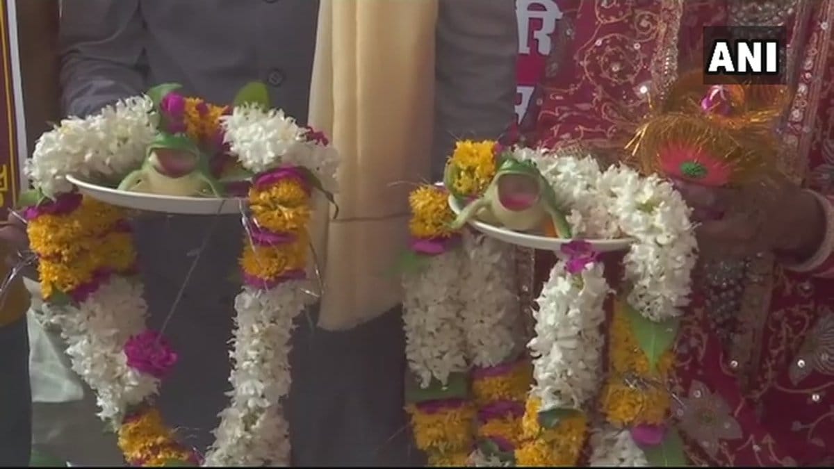 Frogs marriage in varanasi for this special purpose