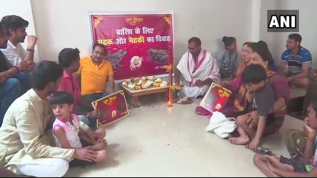 Frogs marriage in varanasi for this special purpose