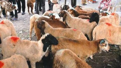 Rout diverson in varanasi for bakrid