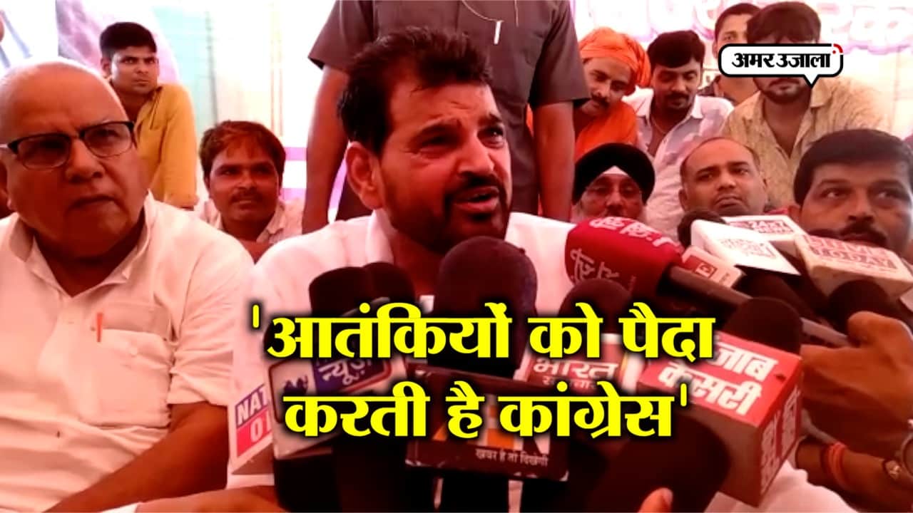 बीजेपी सांसद 