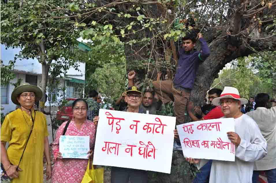 Delhi Chipko Movement: In protest against the deforestation 
