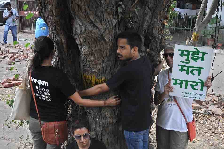Delhi Chipko Movement: In protest against the deforestation 