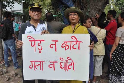 delhi high court put stay on cutting of 16500 delhi trees