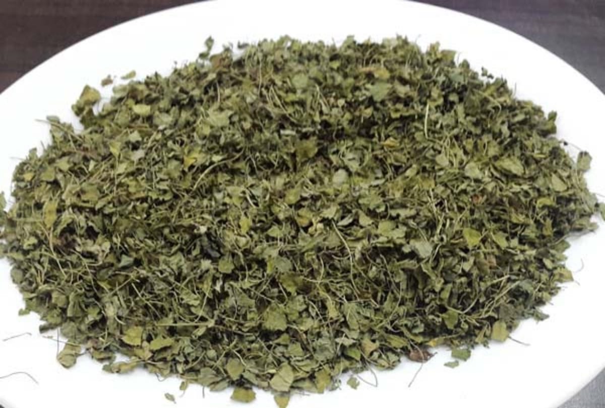 uttar pradesh kannauj family member cook and ate weed as a fenugreek