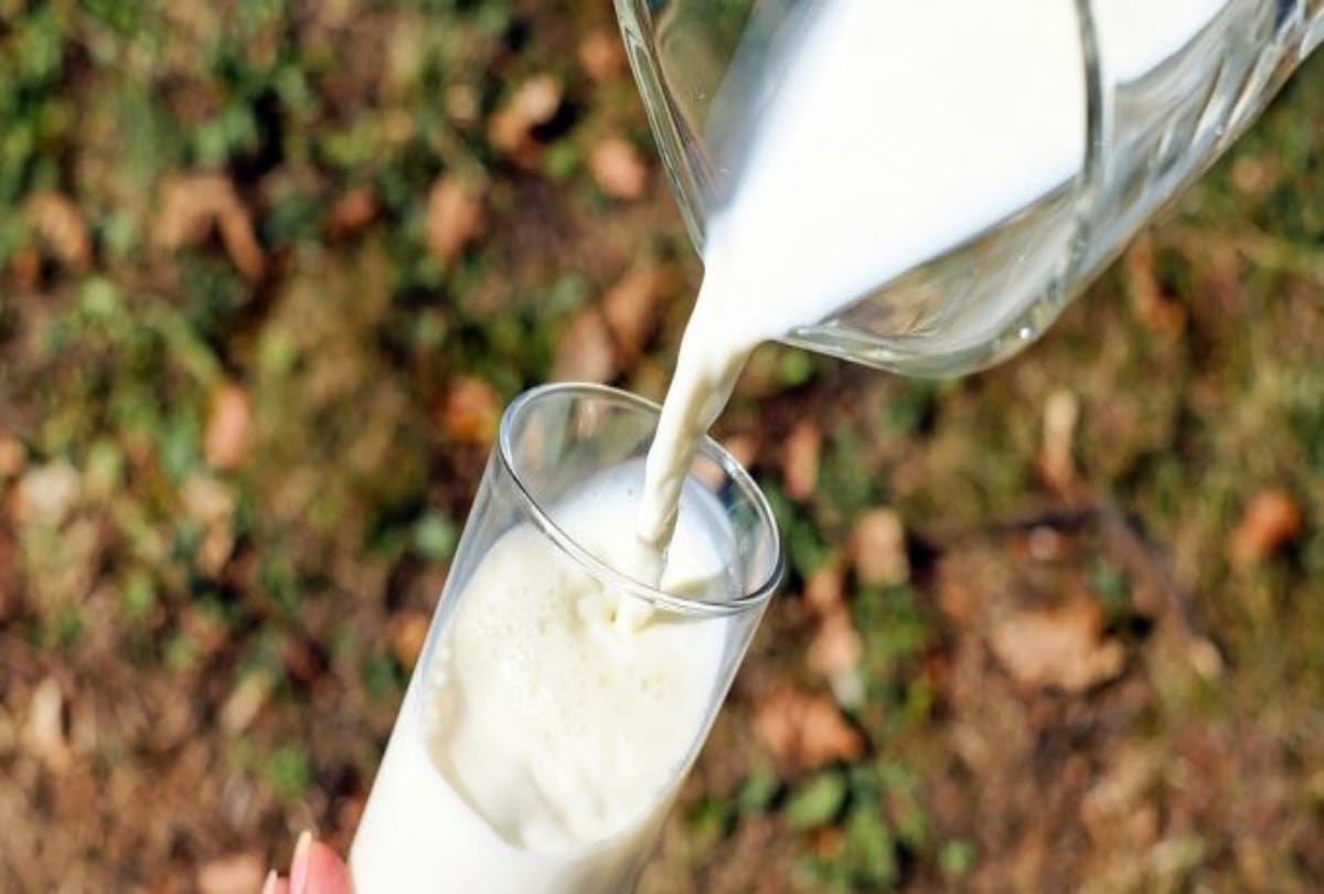 FSDA Team exposed synthetic milk business