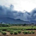 मानसून