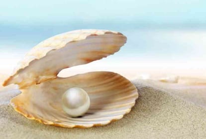 Engineer's fortunes changed with pearl farming, earning millions of rupees