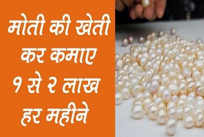 Engineer's fortunes changed with pearl farming, earning millions of rupees