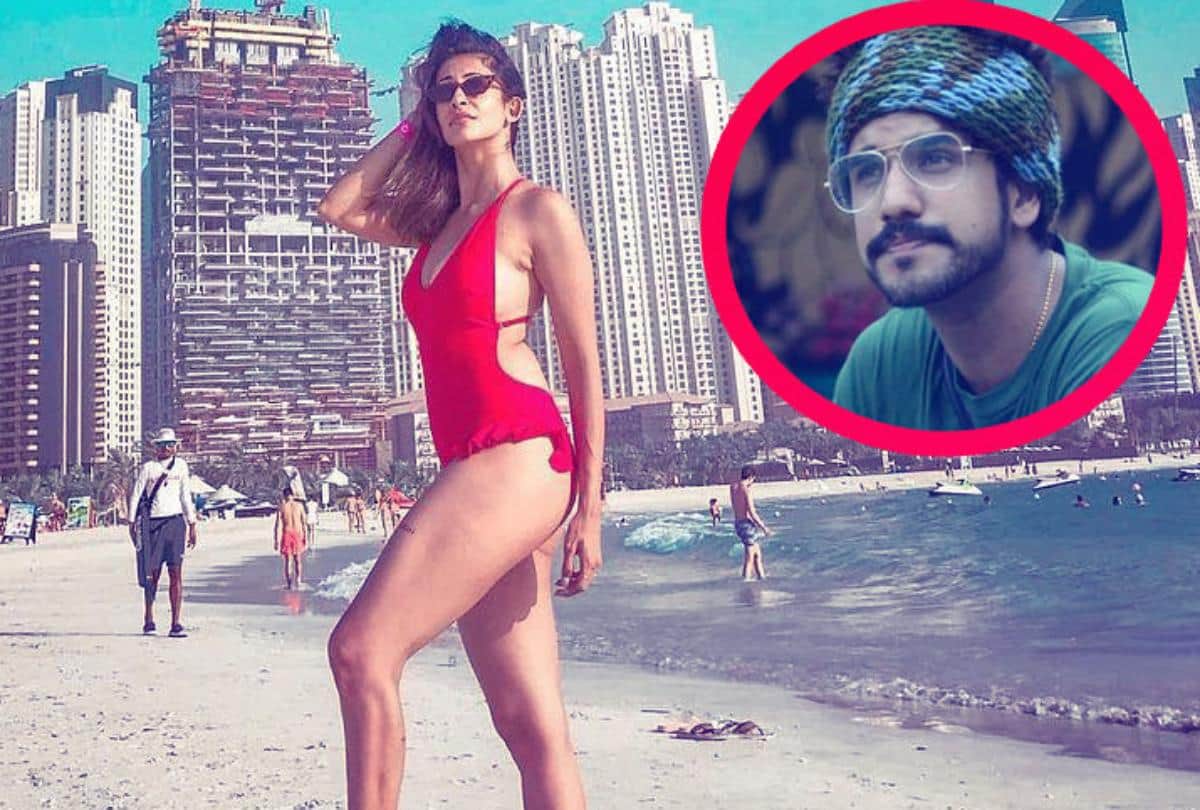 Suyyash Rai Gets Trolled For His Abusive Comment On his wife Kishwer Merchant Bikini Look