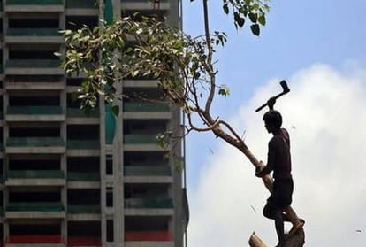 Exclusive Delhi Government has given permission to cut about 5,000 trees