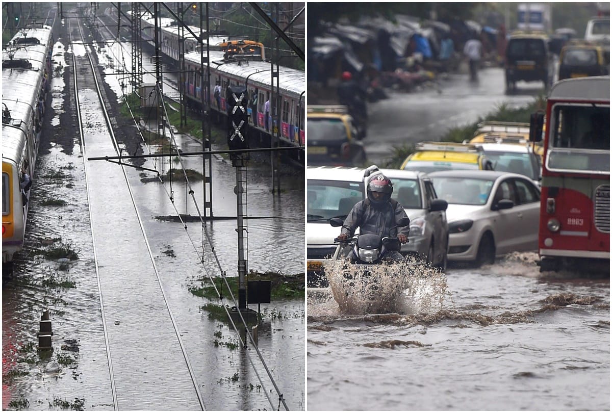 Two people died and five were injured after a tree fell on them because of heavy rain