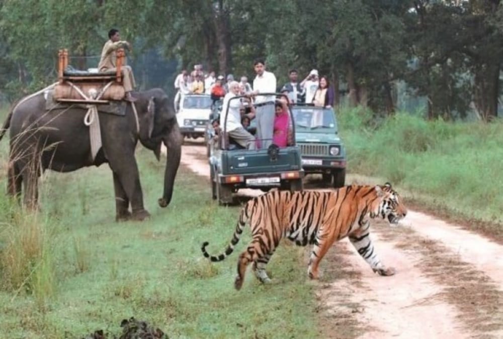 Eco sensitive zone out of from Nandhaur Sanctuary