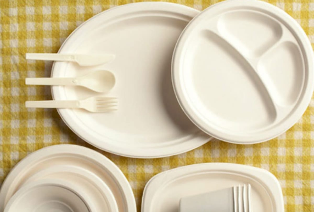 passengers will get food in eco friendly plate in trains