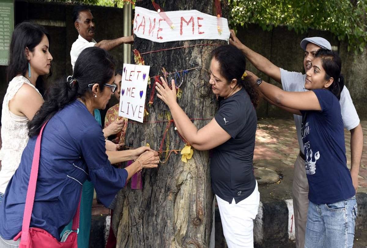 delhi high court order t stop cutting trees til 4 july in delhi