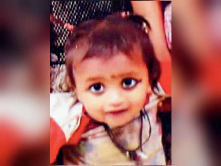 fir registered in dog bite case in chandigarh
