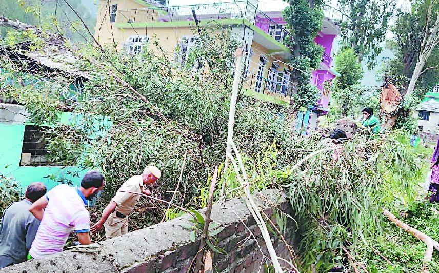 आंगन में चाय पी रहे परिवार पर गिरा पेड़, बेटी की मौत, मां गंभीर