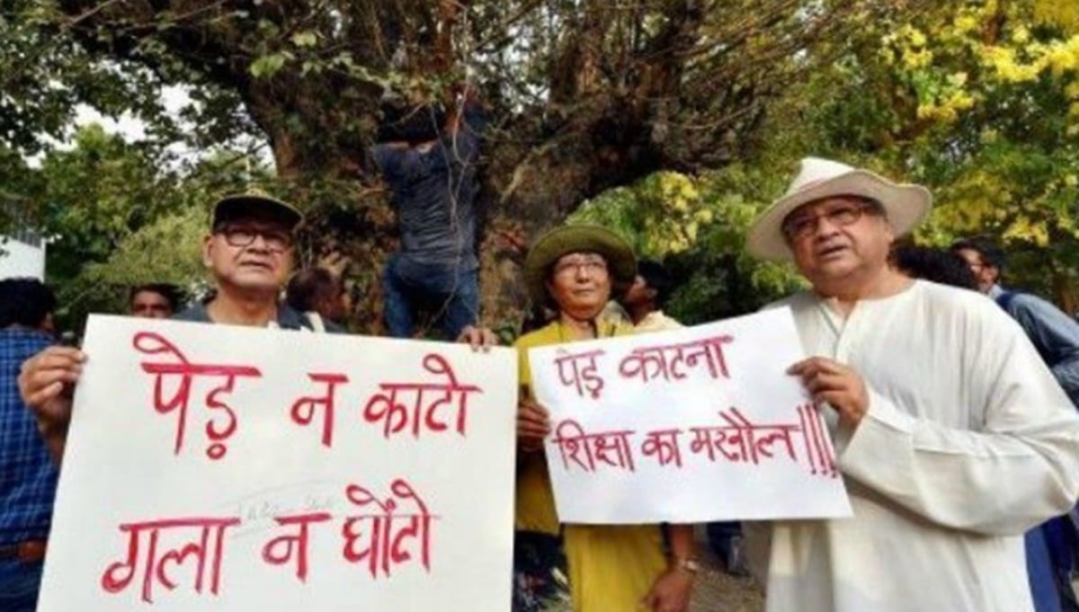 despite high court order tree felling was carried out by the NBCC yesterday at Netaji Nagar