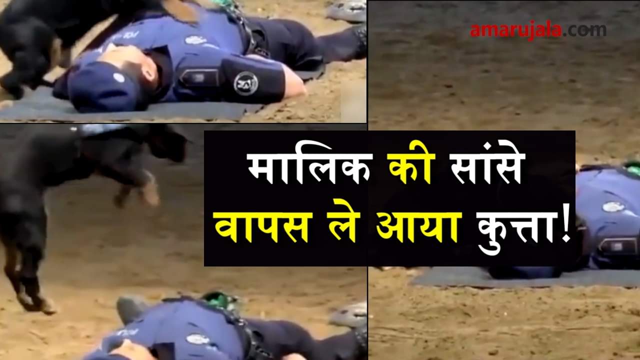 प्रतीकात्मक तस्वीर