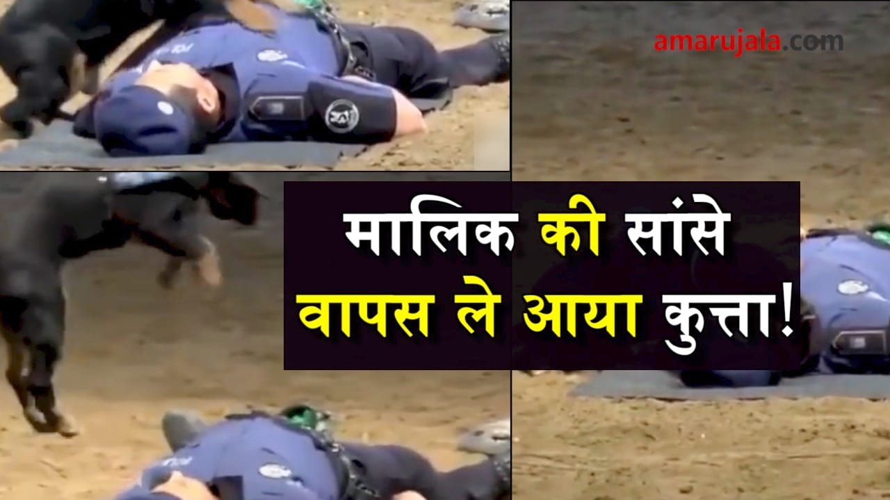 प्रतीकात्मक तस्वीर