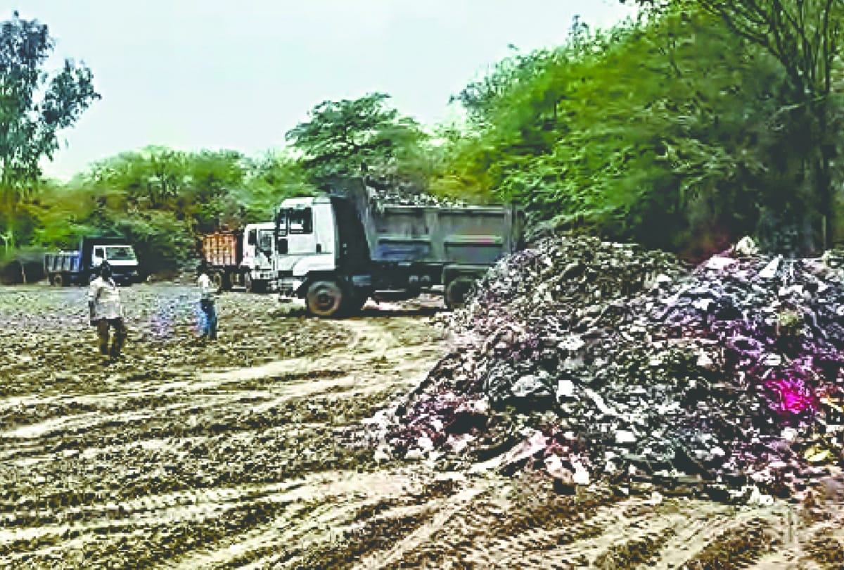 Dead animal disposal plant will be built in Sector 25 Chandigarh