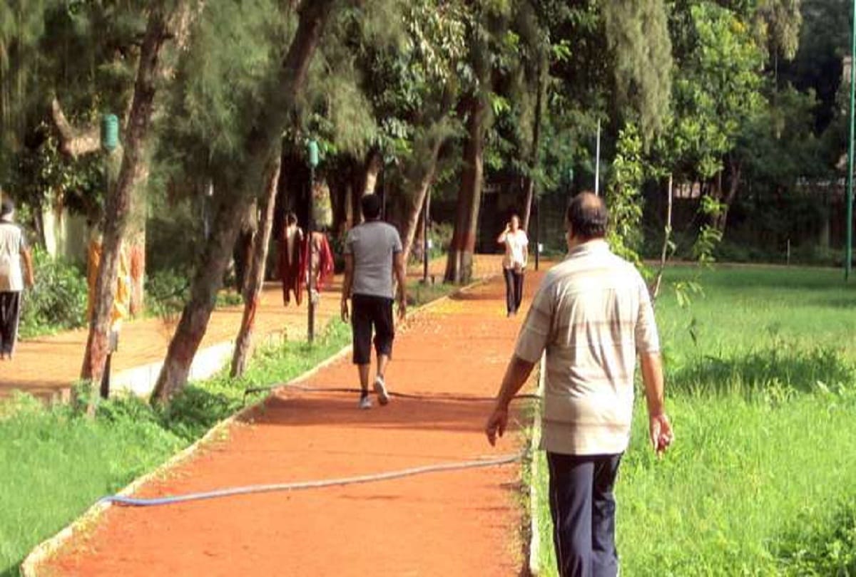  Epari Krishna Rao- Retired engineer Spends Pension Money to Decorate the park