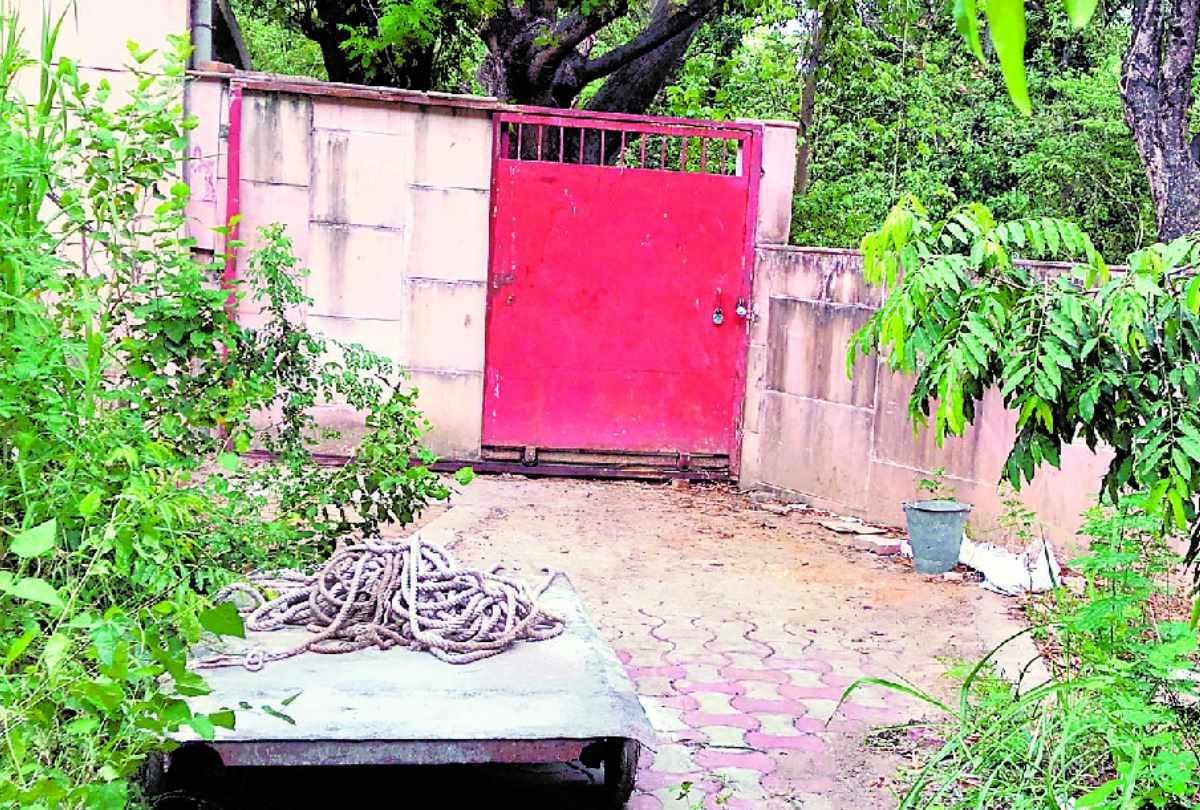small hippo aditya is very sad after death of his mother