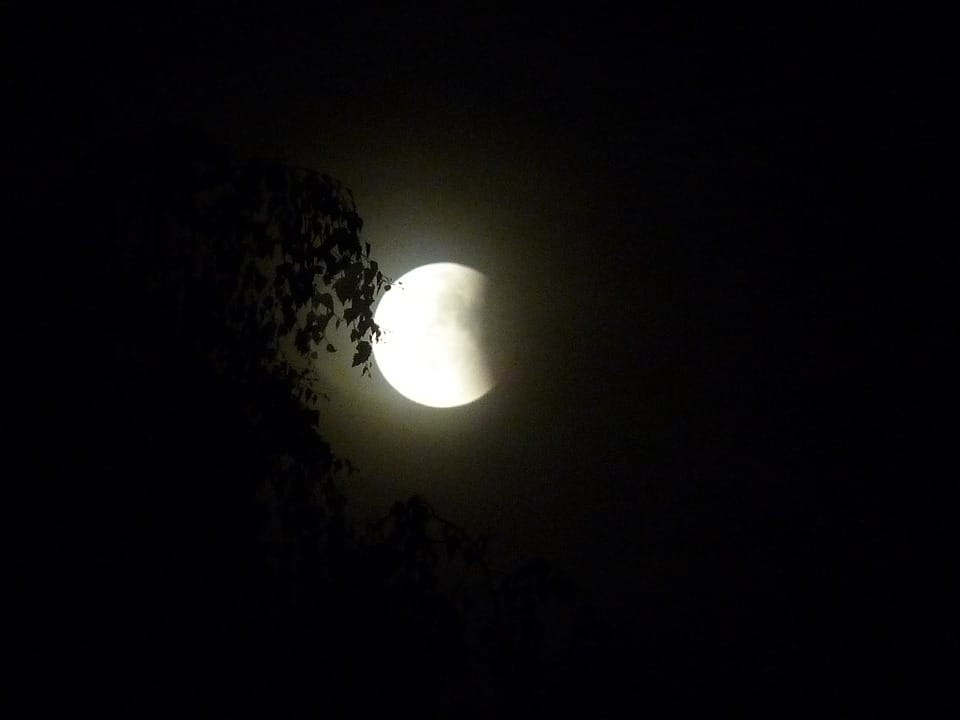 Lunar eclipse 2018 bed effect on these business