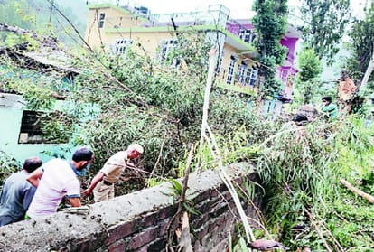 tree falls on the family while drinking tea in the courtyard