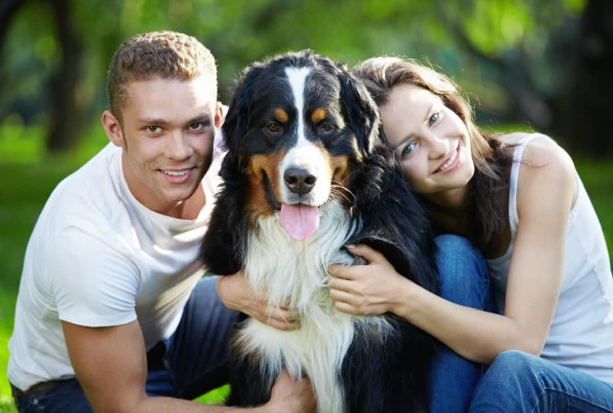 Know about the Weird laws of the World 
