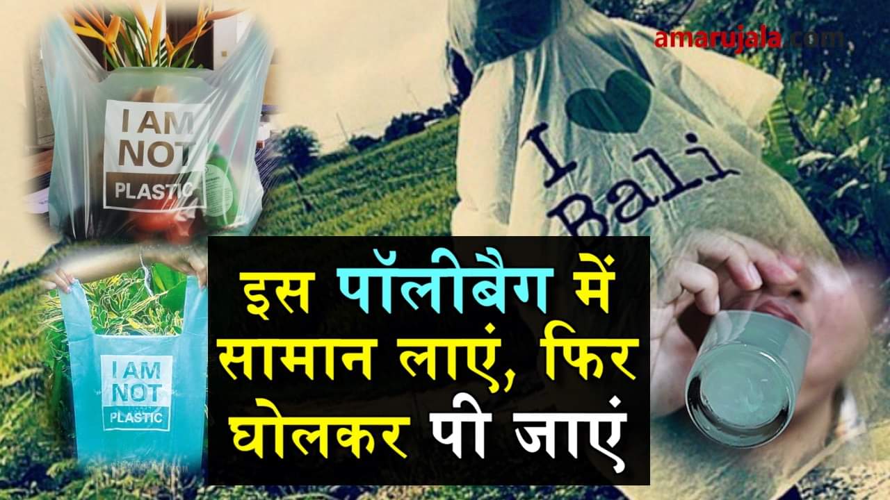 cassava eco friendly bag will save environment