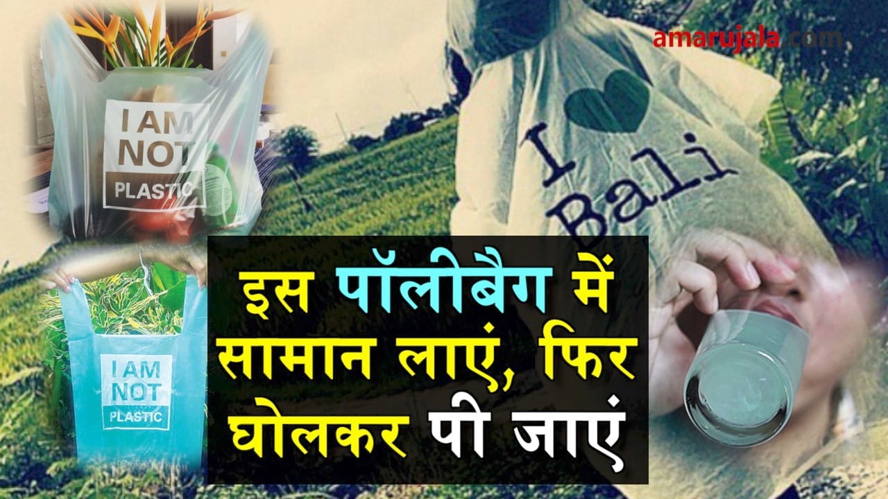 cassava eco friendly bag will save environment