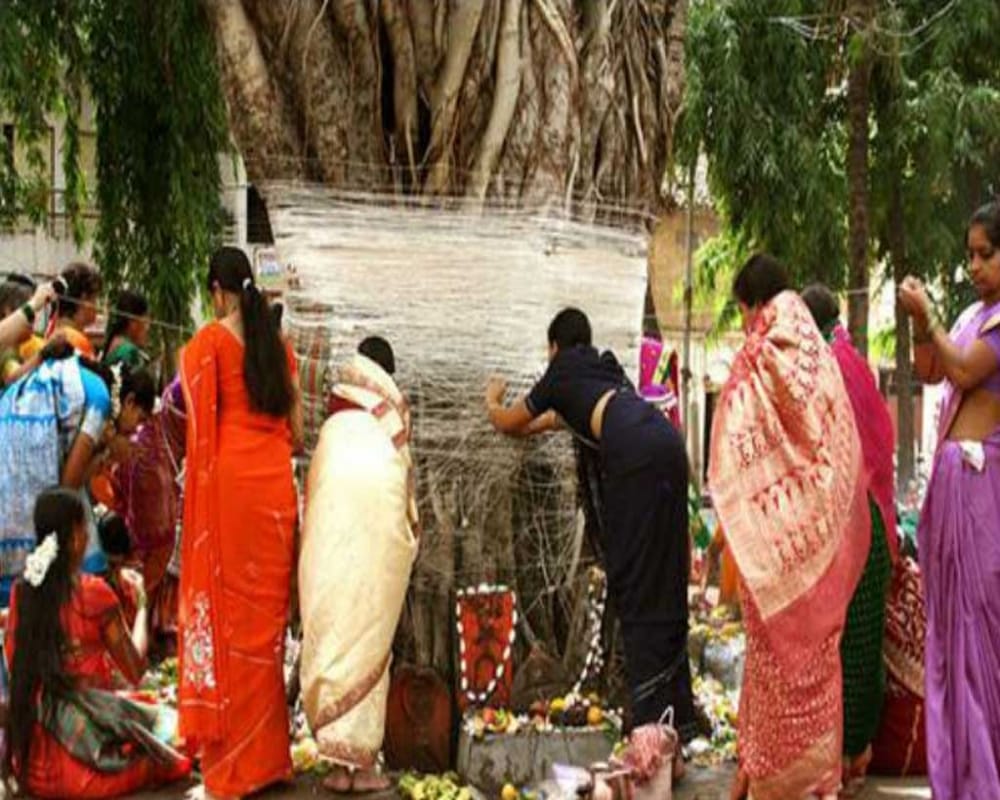 know all about vat savitri fast which is related to husband long life