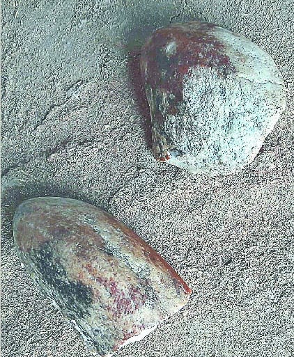 Dropped stones from the sky with sharp sound in Kasauli