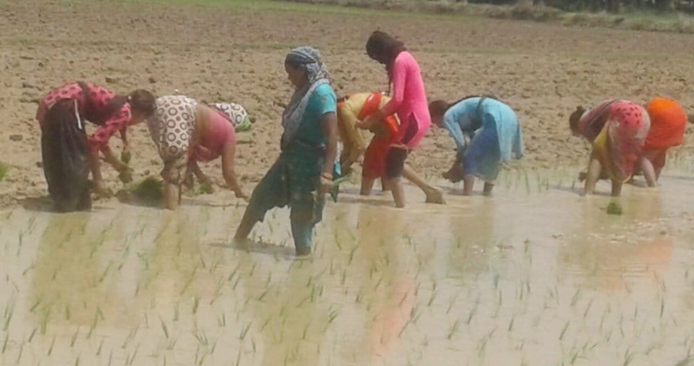Awaits the rain to the Farmers